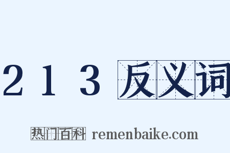 213反义词是什么意思的图片